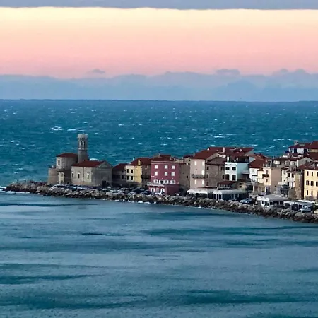 Modrin * Piran