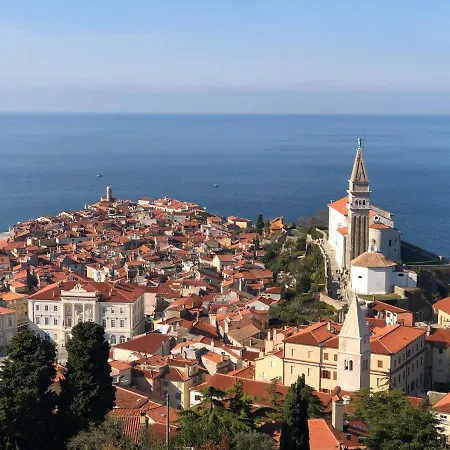 Modrin * Piran