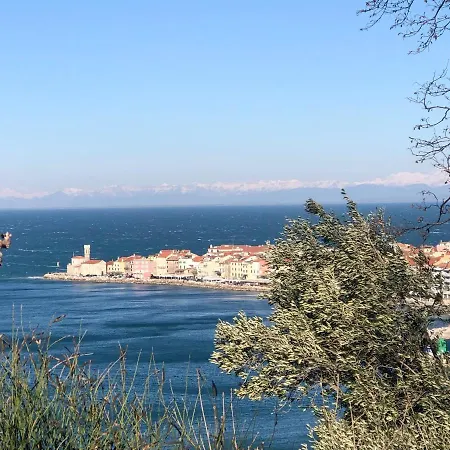 Apartmán Modrin Piran