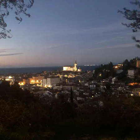 Modrin * Piran