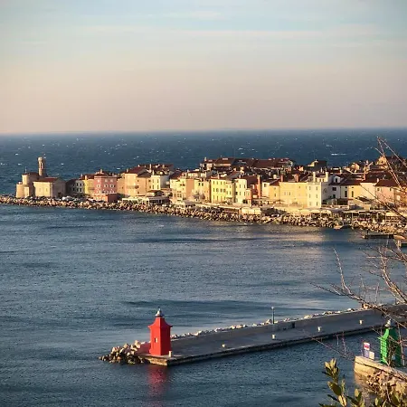 Modrin Piran