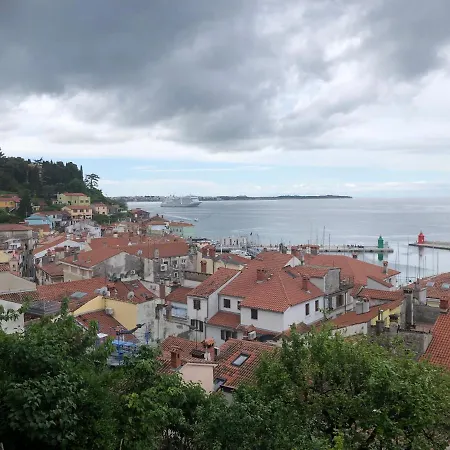 Modrin * Piran